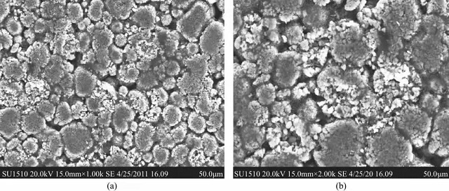 過(guò)壓后極片的SEM圖